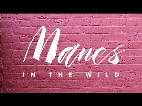 Manes in the Wild, Episode 1: Let Me