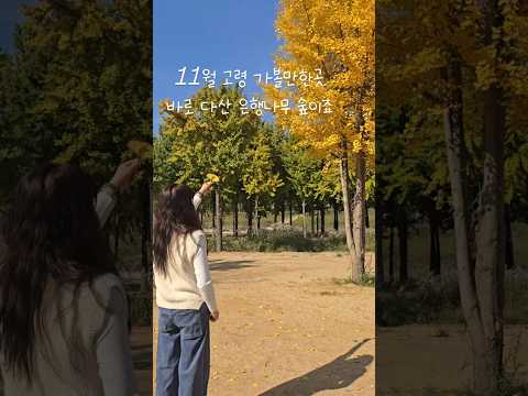 11월 고령 가볼만 한 곳! 가을 여행은 고령으로 gogogo~