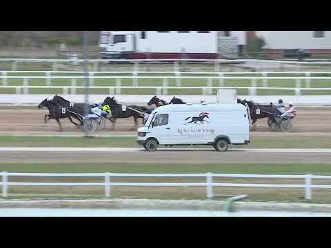 2017.11.11. 3. futam - DESPOTOVOI HENDIKEP