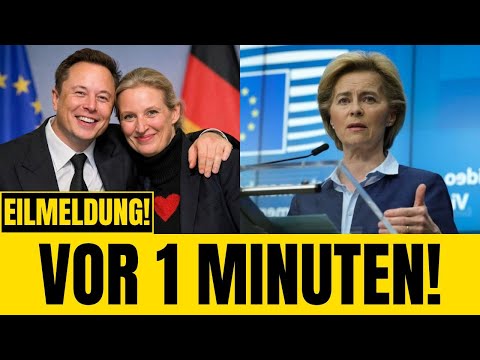 Elon Musk erklärt der EU den Krieg Weidel kontert Brüssel verliert die Kontrolle