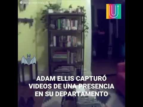 Adam Ellis (vídeo fantasma)