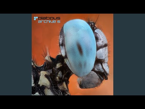 Headfirst (Original Mix)