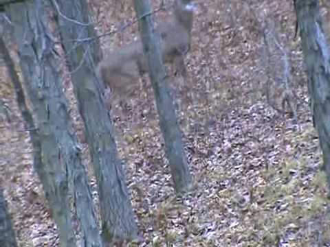 08-Farm2 Split 2