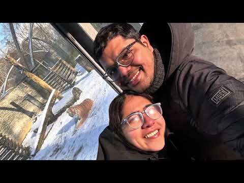 Krakow Zoo in Winter ❄️ | Snow-Covered Wonderland & Amazing Animals!