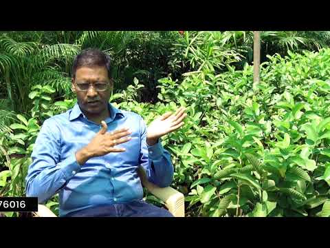 Ixora Duffi Orange