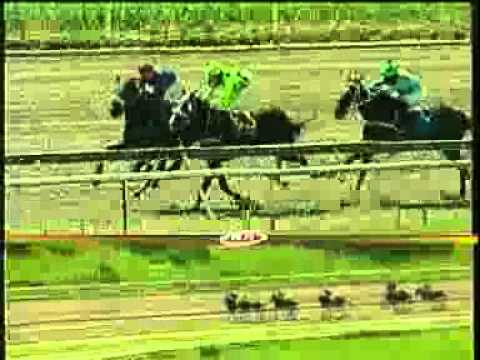 4ta Carrera Dom 03 Agosto La Rinconada