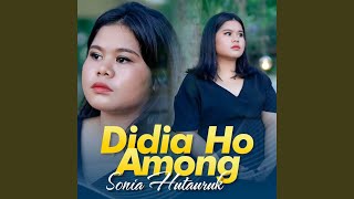 Download lagu Didia Ho Among mp3