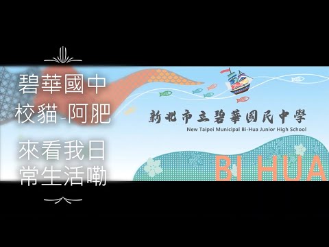 碧中的校貓——阿肥-新北市111年校園犬貓快樂時光影片甄選                   