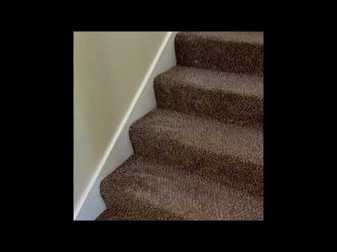 Beautiful Puyallup Duplex with Large Yard & Garden! property video