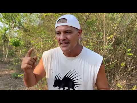 fran cuesta sobre la Ley ELA y psoe ,podemos , brutal