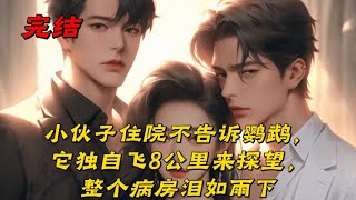 《小伙子住院不告诉鹦鹉，它独自飞8公里来探望，整个病房泪如雨下》在这个快节奏的时代，人与动物之间的真挚情感往往被忽视。然而，有些故事却能让我们重新审视这种跨越物种的深情。