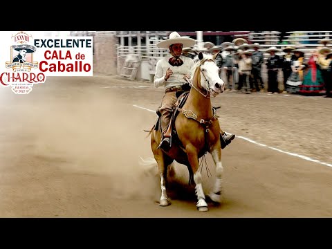 2022 Zacatecas Congress - Excellent Cala de Caballo - Enrique Quique Jiménez