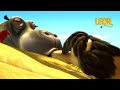 ️ Kisses Behind The Rocks ️ Leon The Lion 25 Compilation Crazy Animals