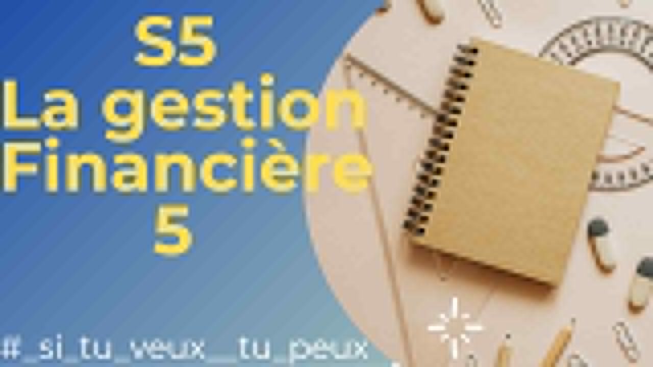 S5 - La gestion financière 5 - les critères du choix d'investissement en avenir aléatoire et risqué