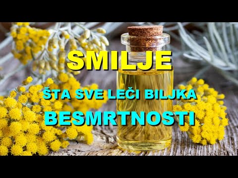 SMILJE - ŠTA SVE LEČI BILJKA BESMRTNOSTI