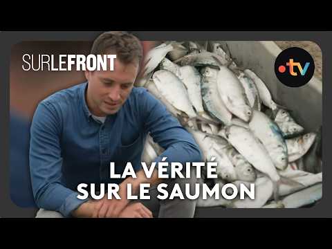 La vérité sur le saumon (Intégrale) - Sur le front avec Hugo Clément