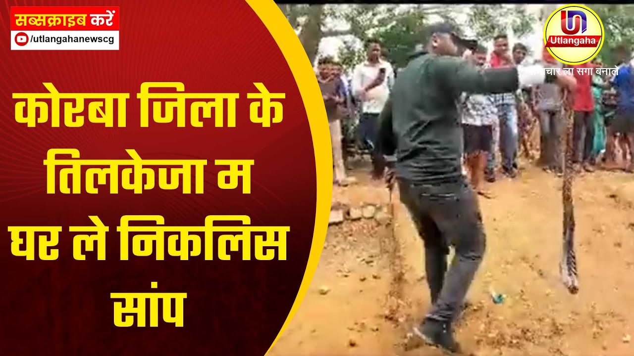 कोरबा जिला के  तिलकेजा म घर ले निकलिस सांप