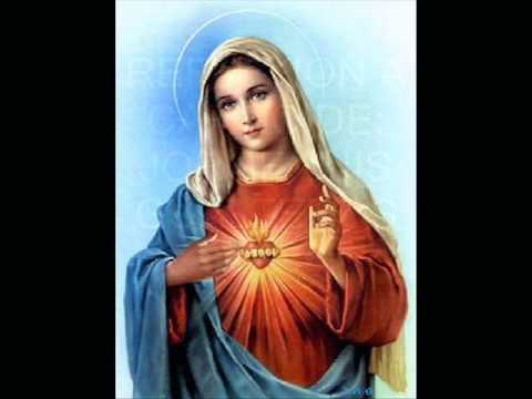 Lunes 22 de Agosto del 2011 Evangelio Video.wmv