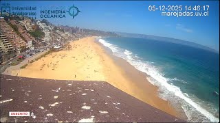 Marejadas UV || Playa Acapulco || Viña del Mar || Chile en vivo live webcam