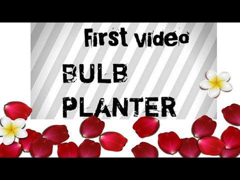 How to reuse old bulb/Bulb planter/Best out of waste