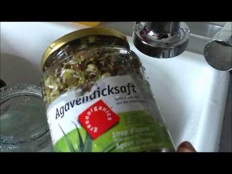 Hortus Creationis Quick Tip #2 Sprossenglas