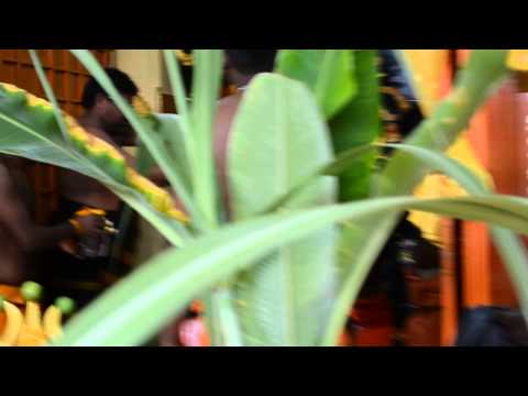 paandimuni temple tiruvilla 2013 port klang