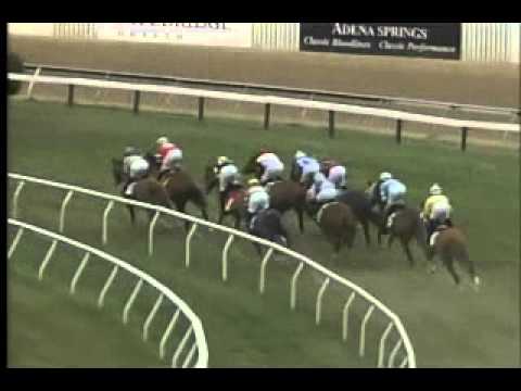 Pimlico 04/25/14 race 8