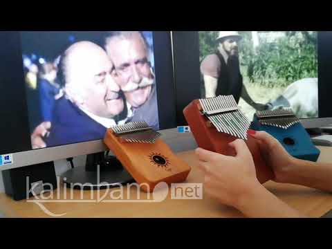 Şenay - Hayat Bayram Olsa Kalimba Cover