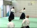 Principles of Aikido - René Van-Droogenbroeck (VDB) (Trailer)