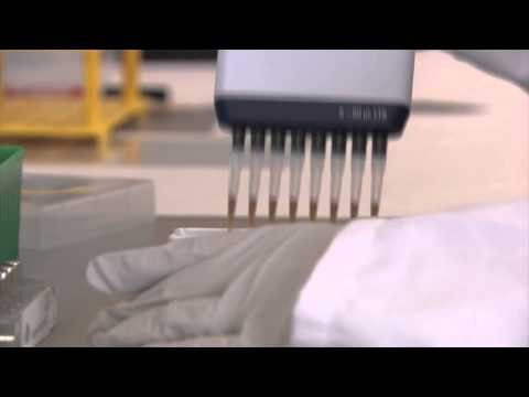 Project MinE: work at the lab