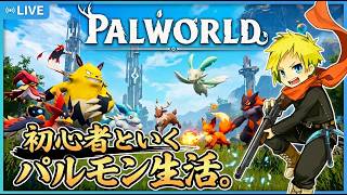 新規初心者とパルワ、自分はLv75～ [PC/Palworld] #縦型配信 #shorts