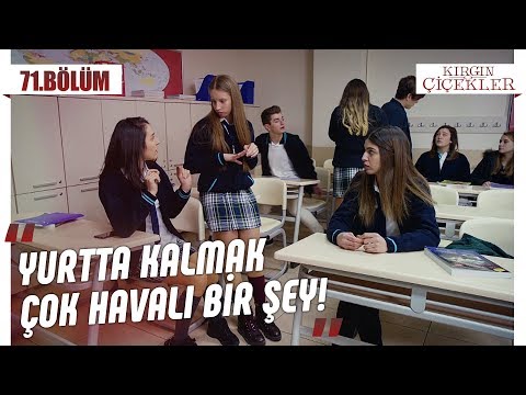 Havası sönmeyen Defne! - Kırgın Çiçekler 71.Bölüm