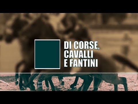 DI CORSE, CAVALLI E FANTINI (FUCECCHIO) 17-05-2019
