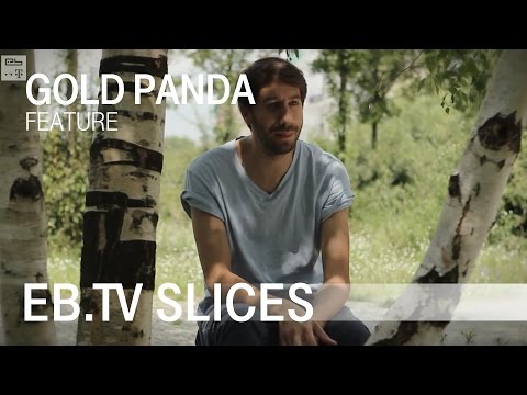GOLD PANDA (Slices Feature)