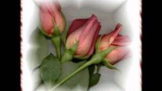 sonido amistad guerrera grupo mala fama te juro que te amo