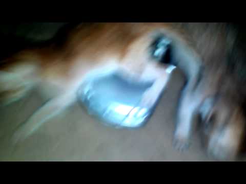 just upload testing by dhun