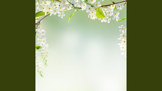 Download lagu Juara Para Pahlawan mp3 Download lagu Juara Para Pahlawan mp3