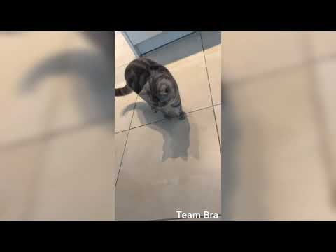 Samra schenkt seinem Vater eine Rolex