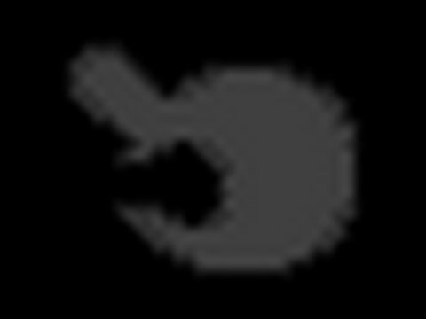 G&W on Melee Friendlies I