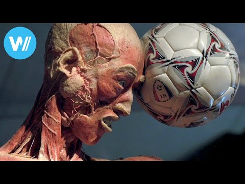 Death: a source of income | "Death: A series about Life" - Episode 4/5