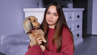 LIFE UPDATE: where I've been, new puppy, what's next?!