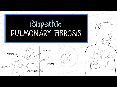 What is Idiopathic Pulmonary Fibrosis (IPF)?