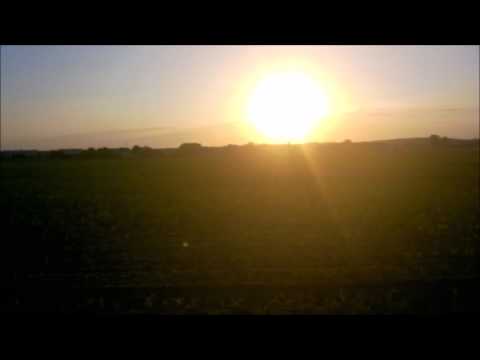 Stonoga - The next episode