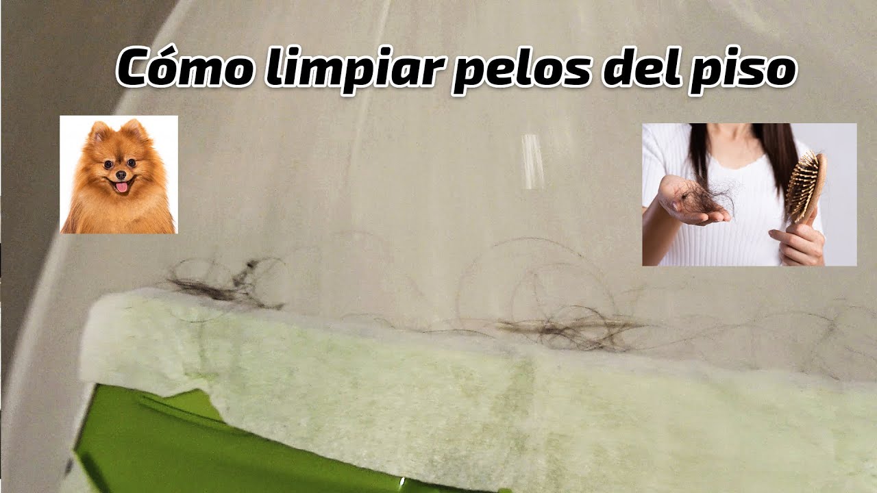 🥇 Cómo limpiar los pelos del suelo de forma fácil y efectiva 🚀