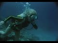 Retro Diving Scene With Girl