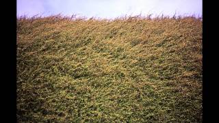 K.Flay - Free N Easy (HQ Audio)