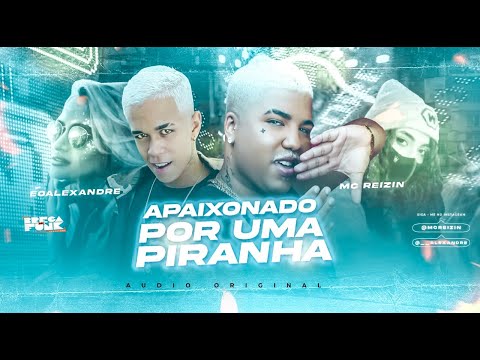 MC REIZIN E ÉO ALEXANDRE - TODO VAGABUNDO - APAIXONADO POR UMA PIRANHA - REMIX BREGA FUNK