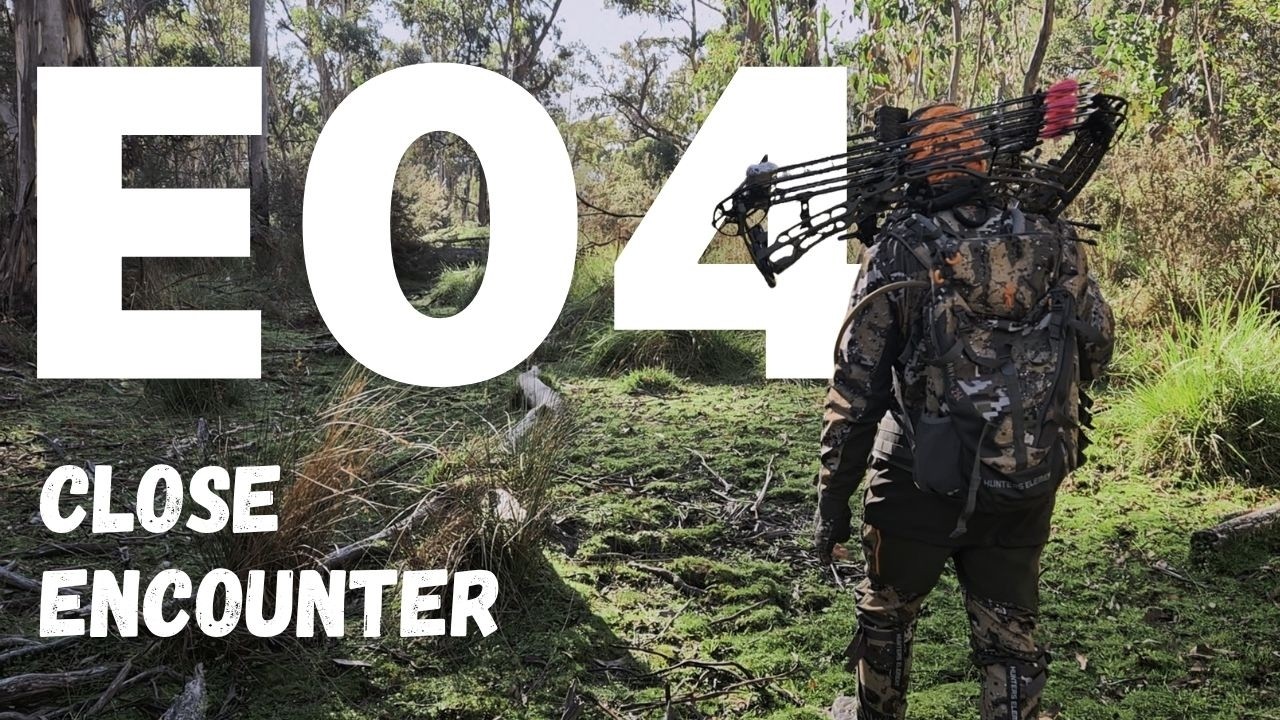 Bow Hunting in State Forest