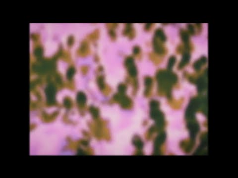 Romy - Lifetime (HAAi’s Green Lamborghini Romix)