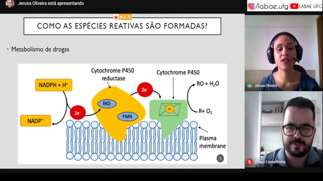 Webinar LaBAE - Biomarcadores de estresse oxidativo e poluição aquática